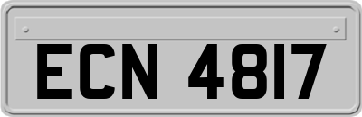 ECN4817