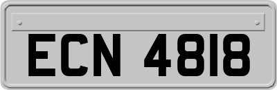 ECN4818
