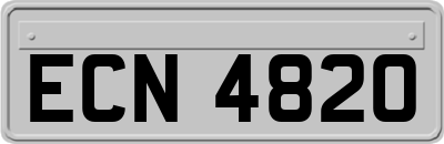 ECN4820