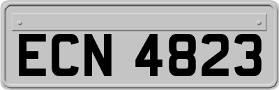 ECN4823