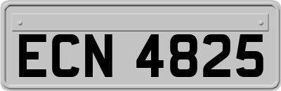 ECN4825