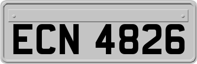 ECN4826
