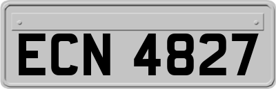 ECN4827