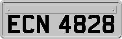 ECN4828