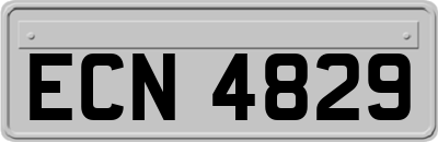 ECN4829