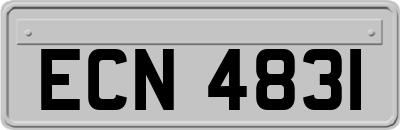 ECN4831