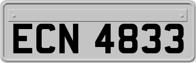 ECN4833