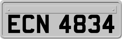 ECN4834