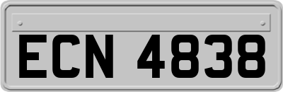 ECN4838