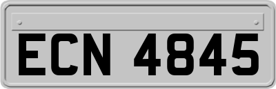 ECN4845