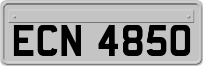 ECN4850