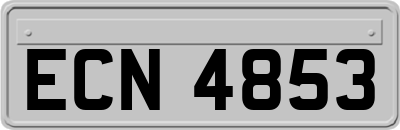 ECN4853