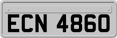ECN4860