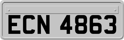 ECN4863