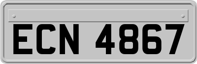 ECN4867