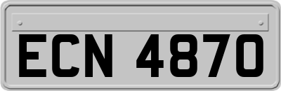ECN4870