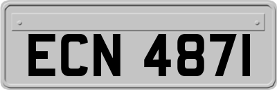 ECN4871