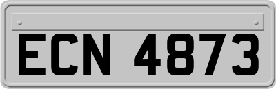 ECN4873