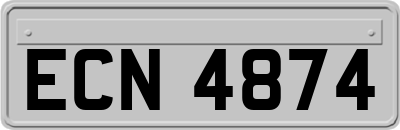 ECN4874