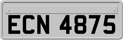 ECN4875