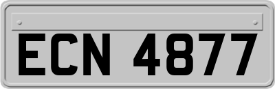 ECN4877