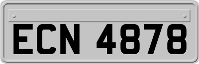 ECN4878