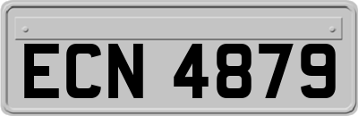 ECN4879