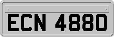 ECN4880
