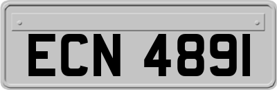 ECN4891
