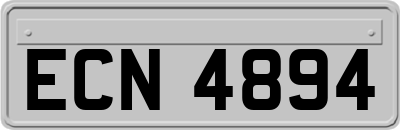ECN4894