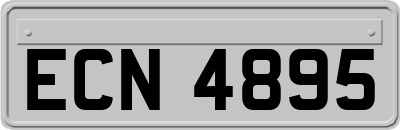 ECN4895