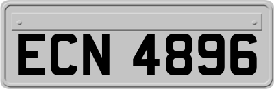 ECN4896