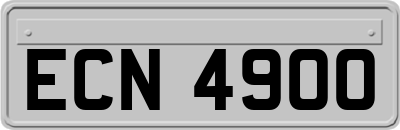 ECN4900