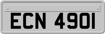 ECN4901