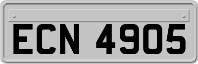 ECN4905