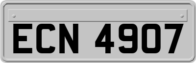 ECN4907