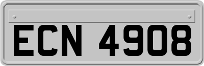 ECN4908