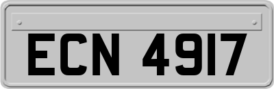 ECN4917