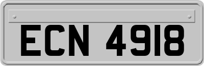 ECN4918