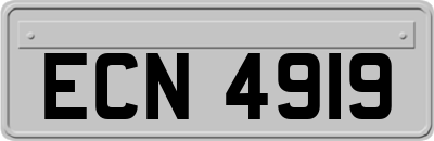 ECN4919