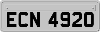 ECN4920