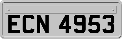 ECN4953