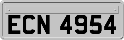 ECN4954