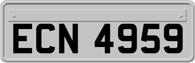 ECN4959