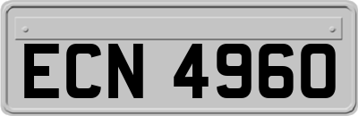 ECN4960