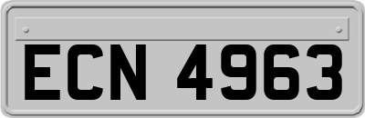 ECN4963