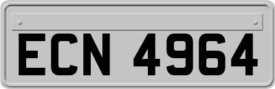 ECN4964