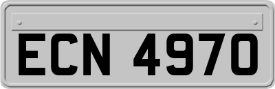 ECN4970