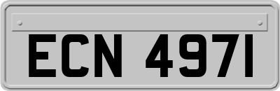 ECN4971
