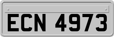 ECN4973